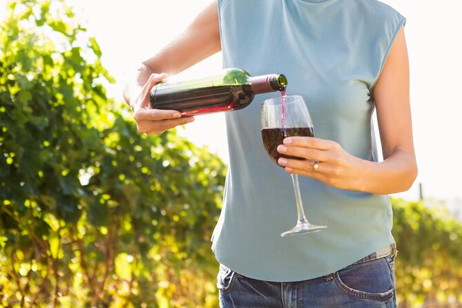 Vino Venture: Explore With a Local - Troodos Mountains Thru Wine! - Additional Information
