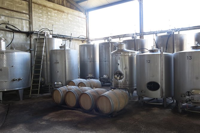 Vino Venture: Explore With a Local - Troodos Mountains Thru Wine! - Tour Description