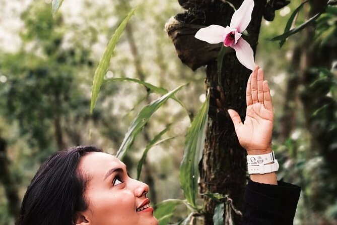 Visit The Greatest Orchid Sanctuary: Orquigonia - Half Day Tour From Coban - Cancellation Policy