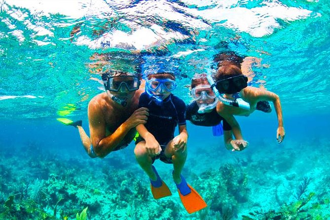 West Bay Aquarium Snorkeling, Beach, Zipline, City Tour & Transfer - Activity Overview