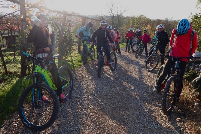 Wine Cycling Tour by E-Bike - Tour Highlights