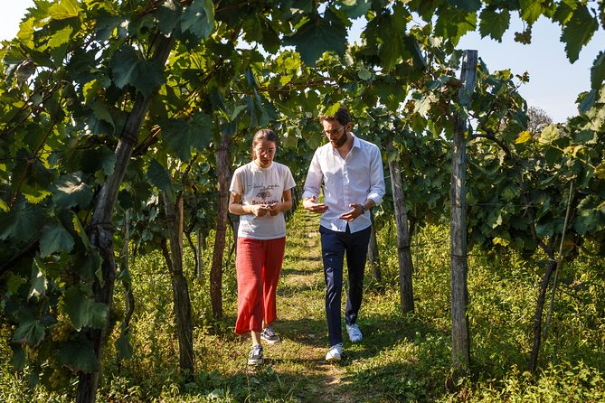 WINE & DINE Tour From Kutaisi - Tour Highlights