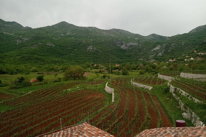Wine Tasting in the Family Winery, Feel the Spirit - Scenic Views
