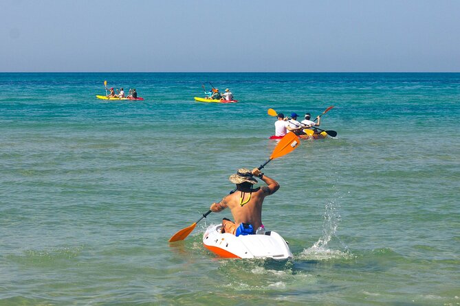 WWF Kayak Tour From Cala Manbrù to Torre Salsa Reserve - Whats Included