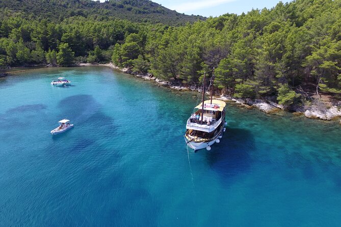 Zadar Fun Swim and Snorkel Short Day Trip @Rhythmexperience - Pricing and Inclusions