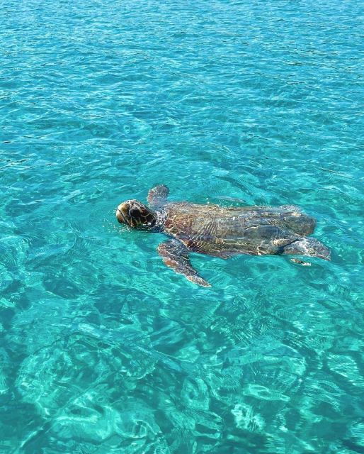 ZAKYNTHOS : Boat Rentals Without Captain ⭐️ - Experience Description
