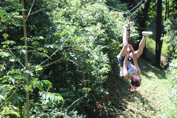 Zipline, Wildlife Park & Beach Jam-Packed Excursion - Inclusions
