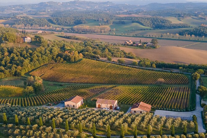 1h30m Wine Tasting and Visit to Val DOrcia