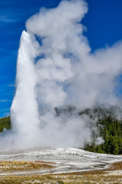 2-Day Guided Trip to Yellowstone National Park