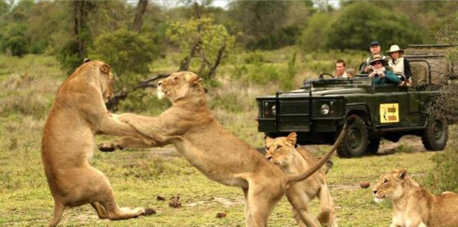 2 Day Hluhluwe Imfolozi & Isimangaliso Tour From Durban - Tour Activities