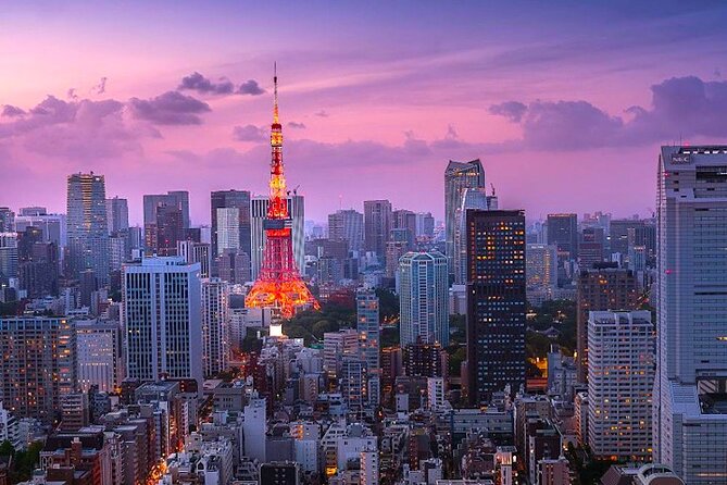 2-Day Private Tokyo MT Fuji Hakone Sightseeing Tour With Guide