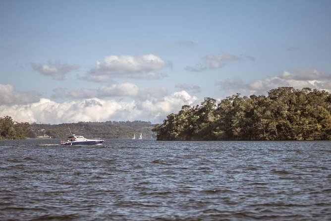 2-Hour Boat and Stand Up Paddle Board Adventure in São Paulo, Brazil
