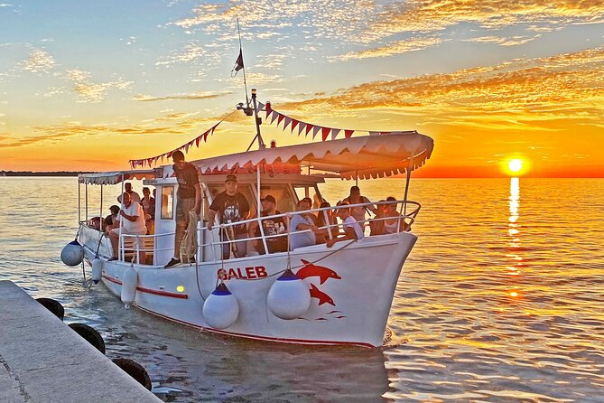 2-Hour Dolphin Guided Safari NP Brijuni From Fazana
