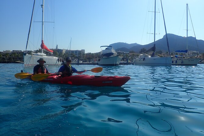 2-Hour Sunset Dolphin Kayak Tour at Golfo Aranci - Equipment Provided