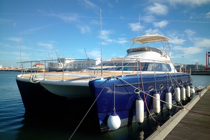 2 Hours Private Catamaran Tour in Lisbon - Tour Overview