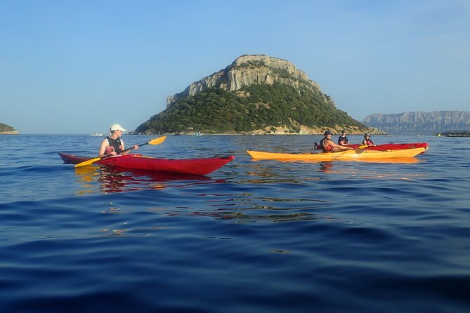 2-Hour Sunset Dolphin Kayak Tour at Golfo Aranci - Location Details