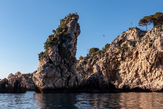 2 Hour Sunset Dolphin Watching Shared Tour - Inclusions and Amenities