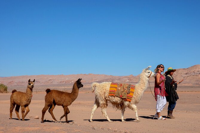 3-Day Exploring San Pedro De Atacama - Day 2: Blue Lagoons and Salt Flats