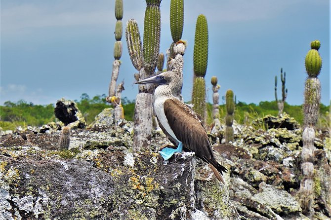 7-Day Galapagos Magic Expedition - Transportation Details