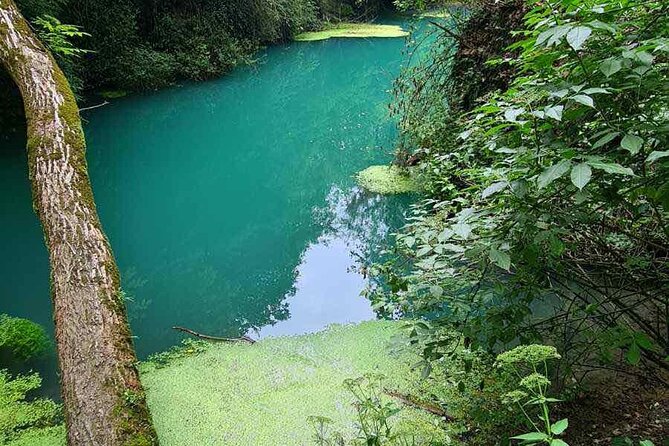 A Day Along the River Zlatna Panega -The Spring and the Eco-Trail - Booking Information