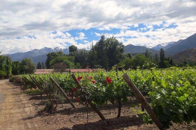 Aconcagua Private Wine Lovers Premium Tour - Tour Description