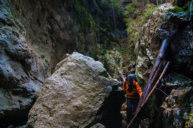 Adventure Day Trip From Iasi | Hiking in the Carpathian Mountains - Trip Details