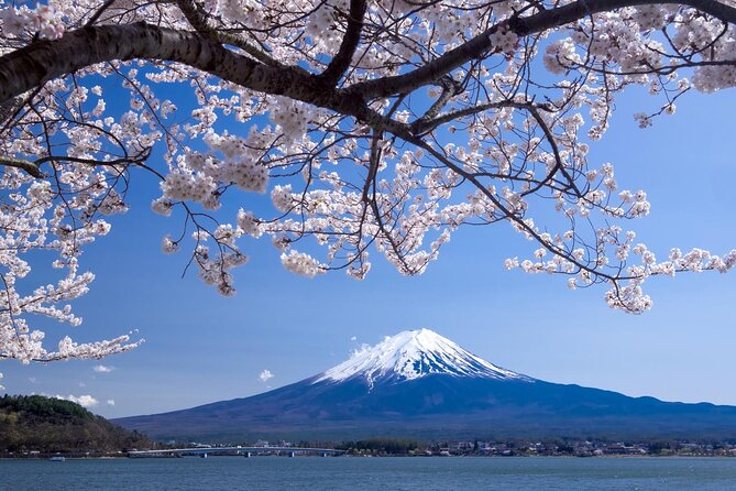 Airport Transfer Between Narita and Mount Fuji or Hakone Onsen - Pickup and Drop-off Details
