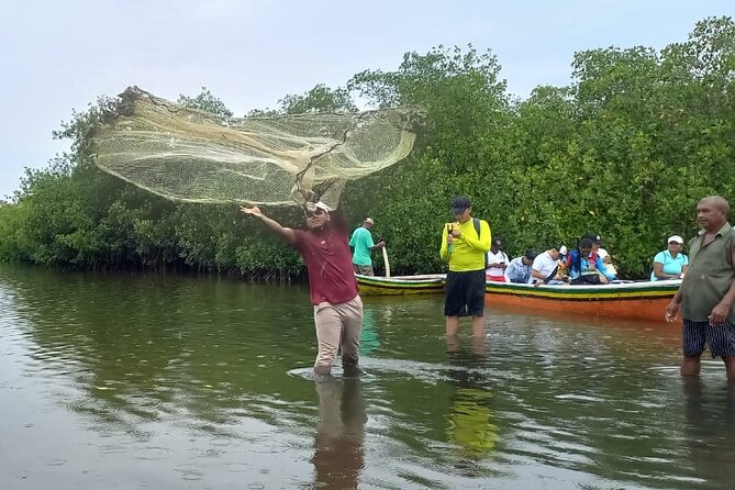 Artisanal Canoe Tour in the Mangrove With Afro-Caribbean Dance - Included Amenities and Pickup Option