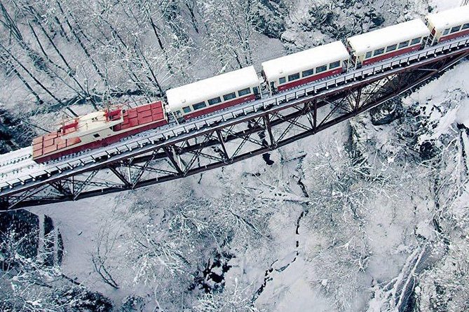 Bakuriani Ski Resort and the Legendary Borjomi (Group Tour) - Transportation and Logistics