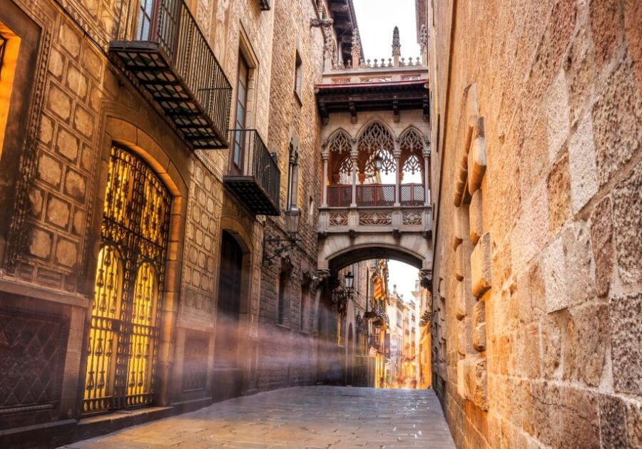 Barcelona Gothic Quarter Private Walking Tour - Tour Details