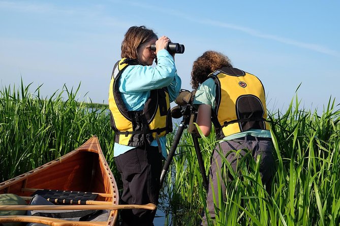 BIRDWATCH - Premium Guided Canoe Tour at Cape Vente, Nemunas Delta Regional Park - Bird Species Encounters