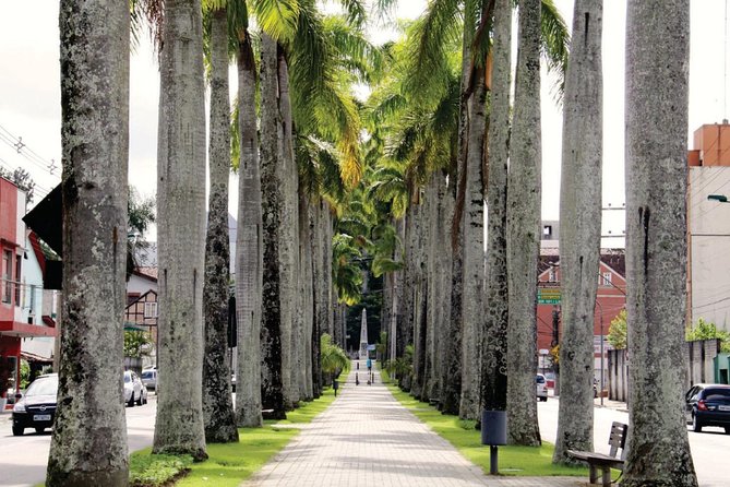 Blumenau City Tour - Departing From Florianópolis - Tour Overview