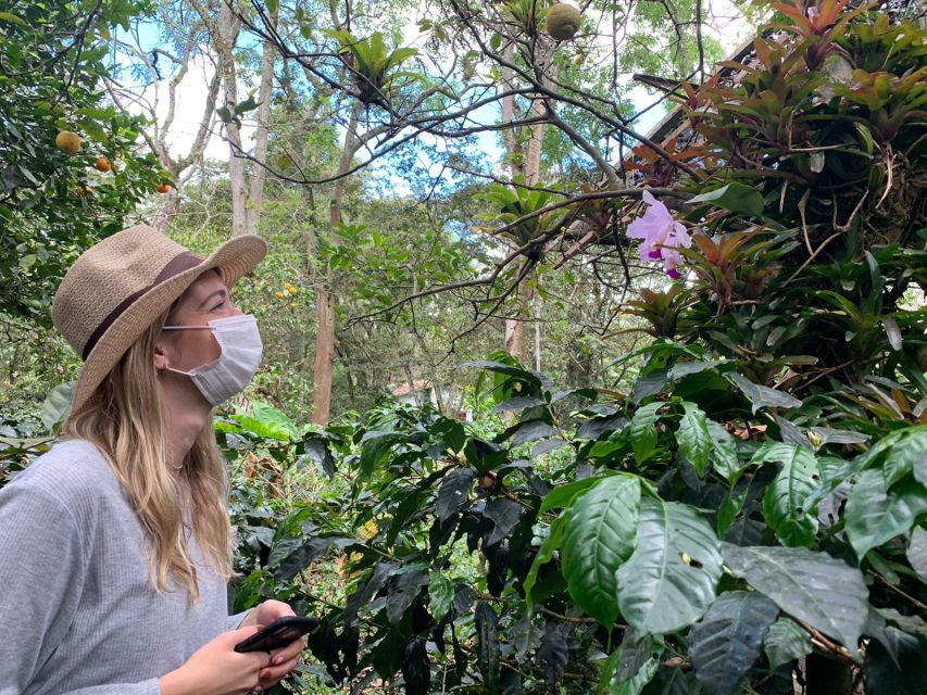 Bogotá: Guided 5-Hour Coffee Farm Tour - Good To Know