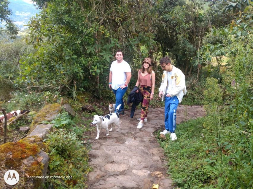 Bogota: La Chorrera Waterfall Private Hike