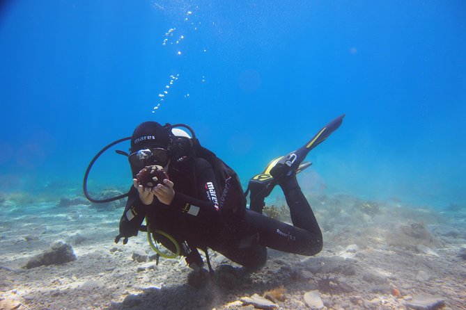 BRELA Bikini Dive *Try SCUBA DIVING* - Additional Information