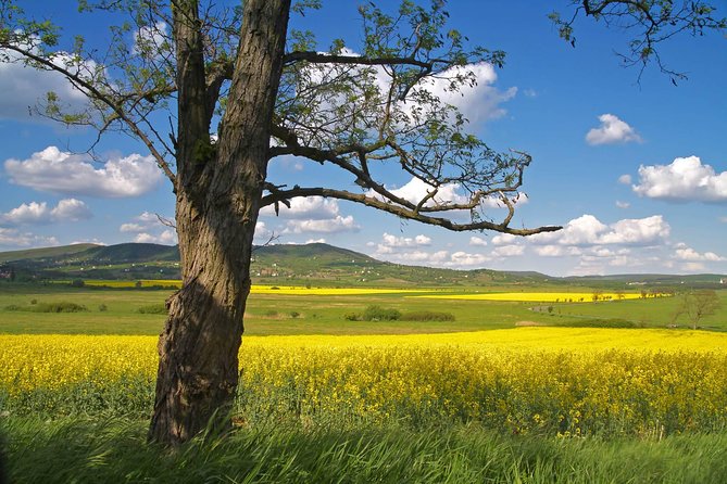 Budapest-Vienna One-Way Sightseeing Transfer - Tour Itinerary