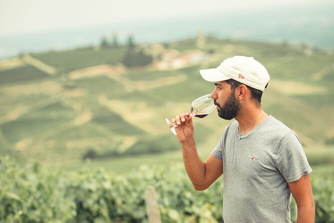 Burgundy Mâconnais Half Day Wine Tour by Vintage Land Rover - Tour Overview