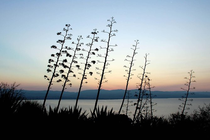Cagliari Urban Trekking Experience: the City You Did Not Expect - Experience Overview