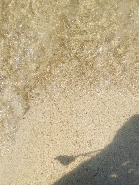 Cartagena: Isla Tierra Bomba Beach Club:Day Pass With Lunch