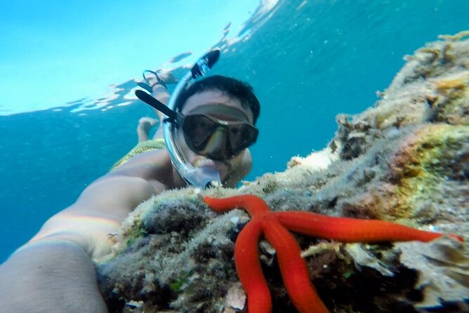 Coast to Coast Capo Vaticano With Snorkeling - Tour Highlights