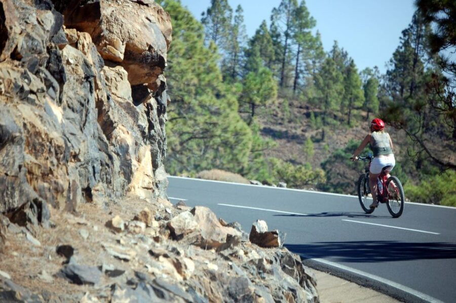Coast to Mountains - Electric Bike Tour - Tour Details