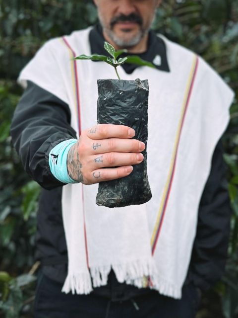 Coffee Tour in Garden Antioquia - From Medellín - Pickup Instructions and Recommendations