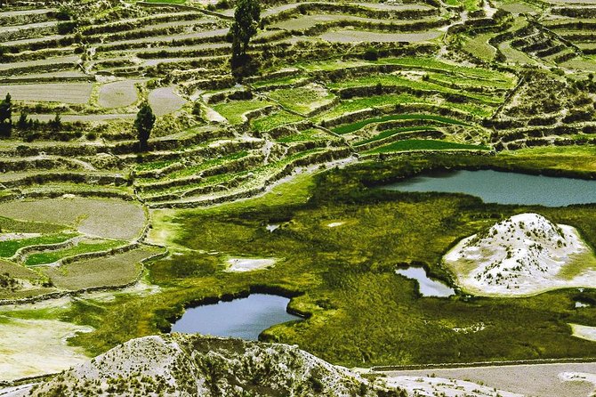 Colca Canyon Full Day + Buffet Lunch - Tour Highlights