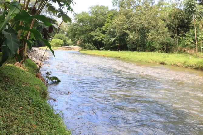 Cooking Class and Sugar Cane Experience - Experience Details