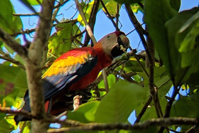 Corcovado National Park Overnight Tour-One Night at Sirena Station - Packing List