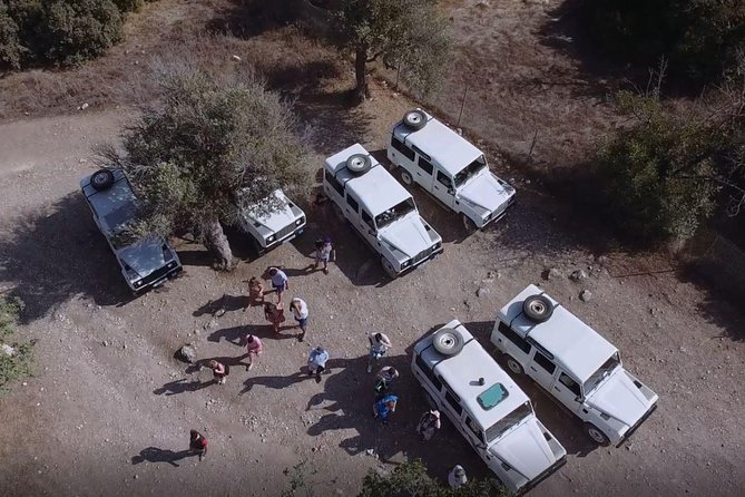 Cruise and 4X4 Safari Tour at Akamas Peninsula From Paphos - Inclusions and Amenities