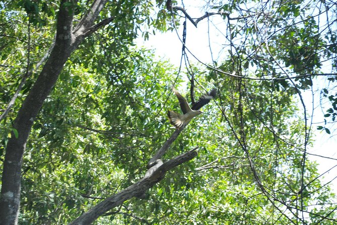 Damas Island by Boat Tour From Manuel Antonio - Tour Details