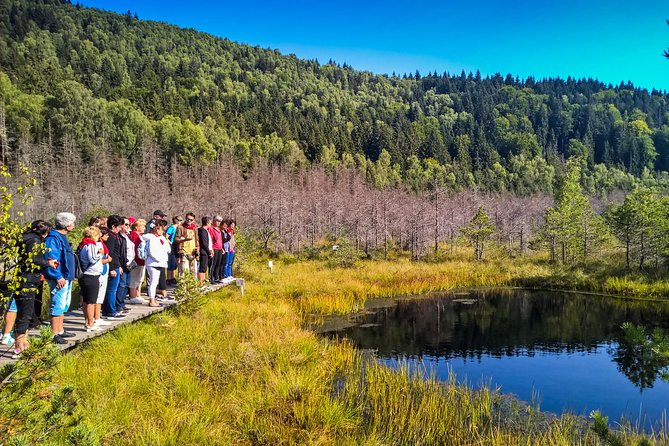 Day Trip & Bear Watching in the Land of Volcanoes - Itinerary Details