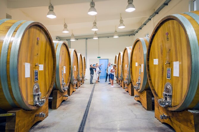 Dealu Mare Wine Country Tour - Lunch Included - Culinary Delights