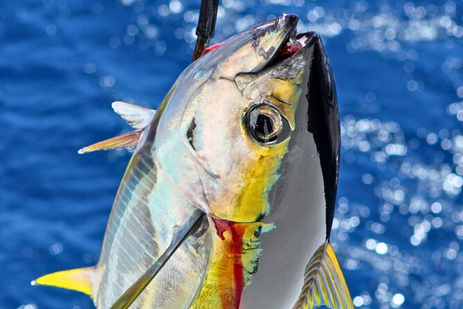 Departing From Onna Village (Maeda Fishing Port)! Fishing Experience/Trolling | Complete Boat Charter Plan (4 Hour Course/7 Hour Course) - Participant Information